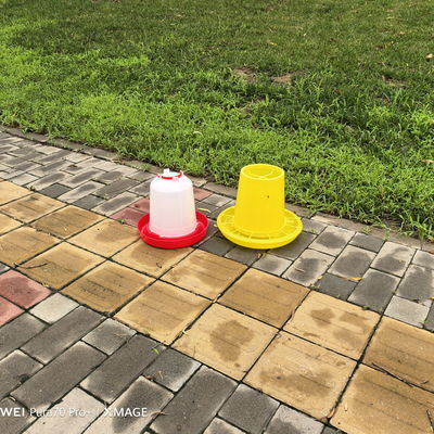 Convenient Anti Drip Bird Watering Dispensers For Small Aviaries Poultry Birds