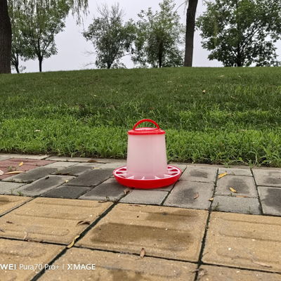 Innovative Freestanding Chicken Feed Dispenser With Cylinder Technology