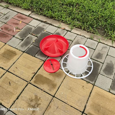 Spacious Standard Size Plastic Poultry Feeder / Fowl Feeding Tool
