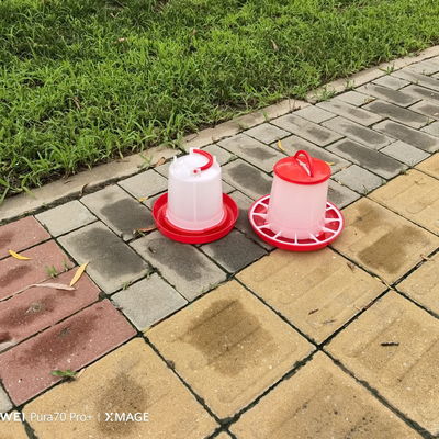 Spacious Standard Size Plastic Poultry Feeder / Fowl Feeding Tool
