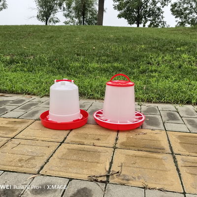Spacious Standard Size Plastic Poultry Feeder / Fowl Feeding Tool