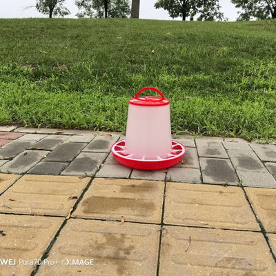 Spacious Standard Size Plastic Poultry Feeder / Fowl Feeding Tool