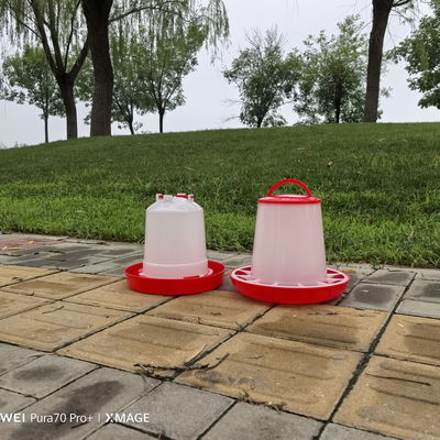 Ducks Care Freestanding Poultry Feeder For 30 KG