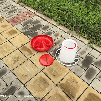Ducks Care Freestanding Poultry Feeder For 30 KG