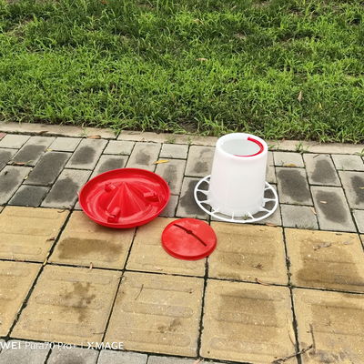 Ducks Care Freestanding Poultry Feeder For 30 KG