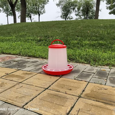 Ducks Care Freestanding Poultry Feeder For 30 KG