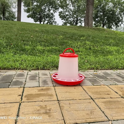 Ducks Care Freestanding Poultry Feeder For 30 KG