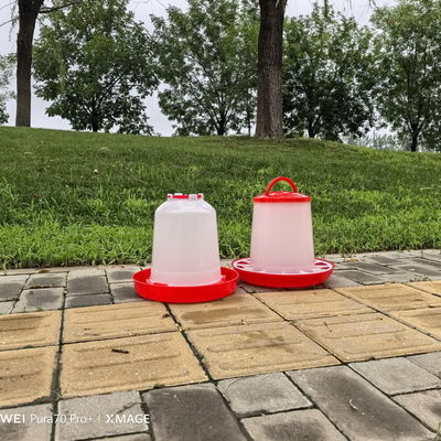 Cylinder Poultry Feeder For Chickens Ducks Geese Turkeys