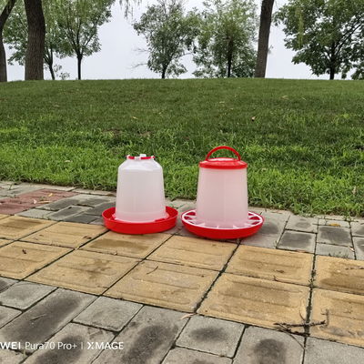 Cylinder Poultry Feeder For Chickens Ducks Geese Turkeys