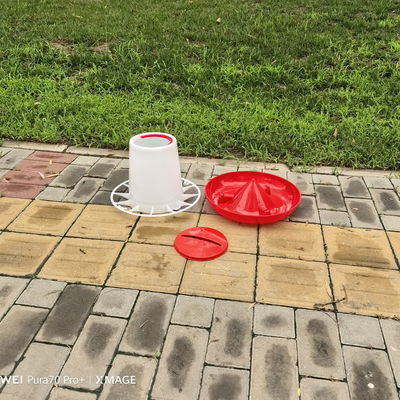 Cylinder Poultry Feeder For Chickens Ducks Geese Turkeys