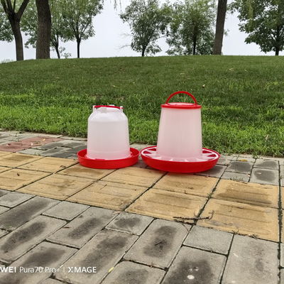 Standard Cylinder Plastic Chicken Feeder No Waste
