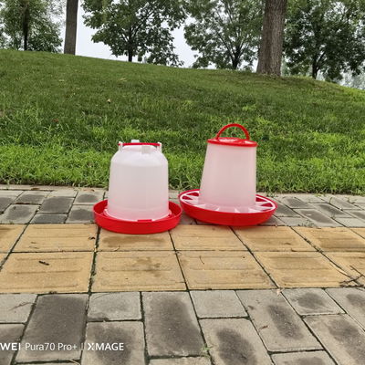 Standard Cylinder Plastic Chicken Feeder No Waste