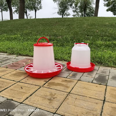 Standard Cylinder Plastic Chicken Feeder No Waste