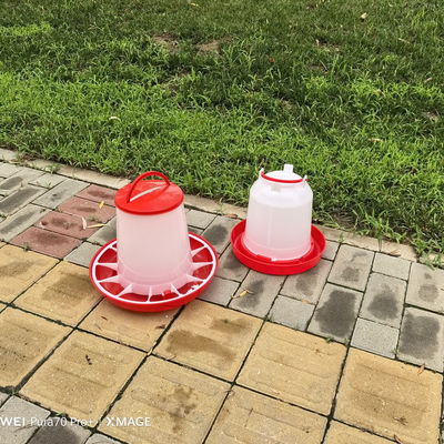 Standard Cylinder Plastic Chicken Feeder No Waste