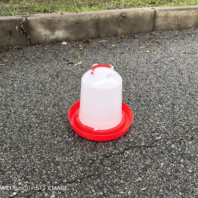 Round Farm Poultry Bucket Feeder Capacity 6 Liters