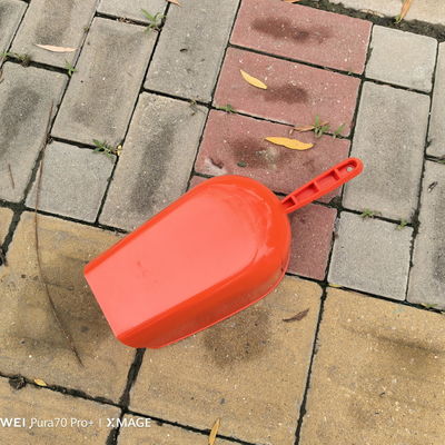 Handy Long Handle Orange Feed Shovels Eco Friendly For Poultry Feeding Poultry Farm Chicken