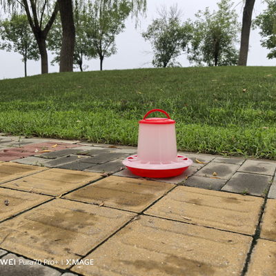 Automatic Labor Saving Plastic Chicken Feeder Waterer 1L Capacity Pigeon Supplies