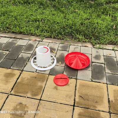 Automatic Labor Saving Plastic Chicken Feeder Waterer 1L Capacity Pigeon Supplies