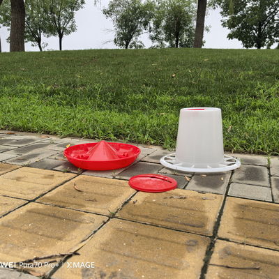 Modern Thick Plastic Poultry Feeder Sturdy Durable Capacity 2.5L