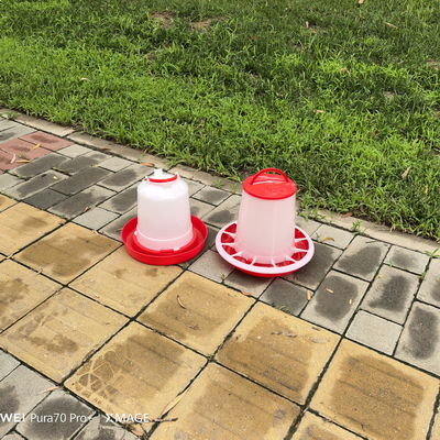 Ducks Multifunction Automatic plastic poultry feeder