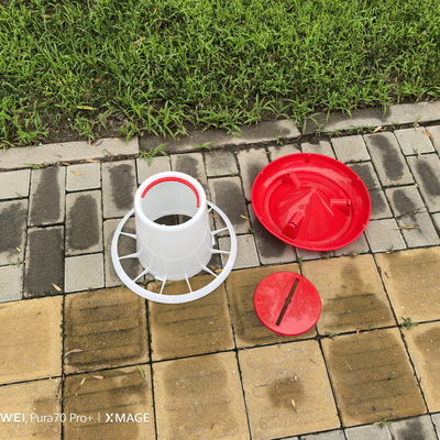 Family Farm Capacity 6L Plastic Feeders For Poultry