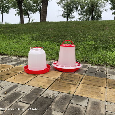 Freestanding Plastic Poultry Feeder 1L-12L Clean Dry