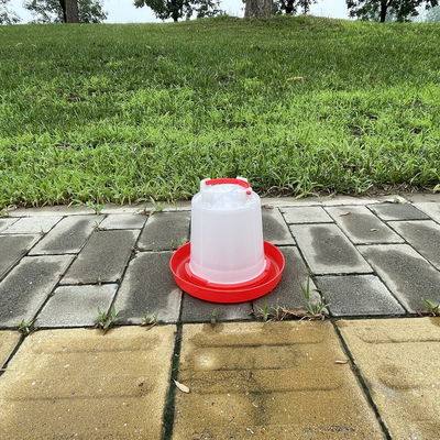 Cone Shaped Plastic Chicken Drinker Durable Red Water Supply For Birds