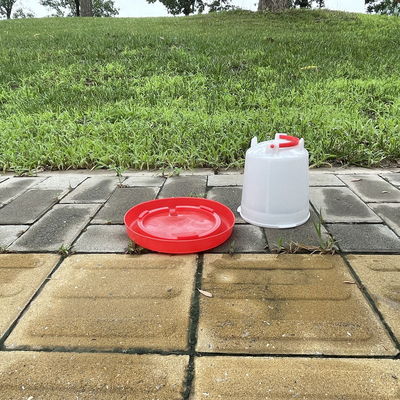 Cone Shaped Plastic Chicken Drinker Durable Red Water Supply For Birds