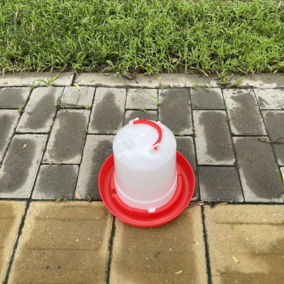 Easy Install Chicken Waterer Red Bird Watering Dispensers Drip Free