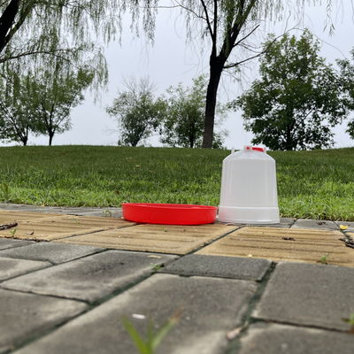Easy Install Chicken Waterer Red Bird Watering Dispensers Drip Free