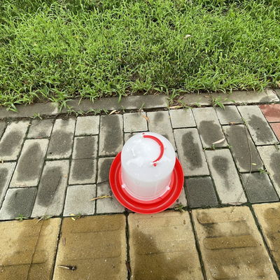 Red Anti Drip Poultry Cone Drinker For Consistent Hydration Anti Clogging
