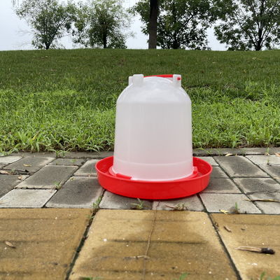 Cone Shaped Poultry Drinker Optimal Hydration Watering Device Access Clean Water