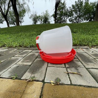 Efficient Durable Poultry Drinker Reliable Source Essential Tool Health Issues
