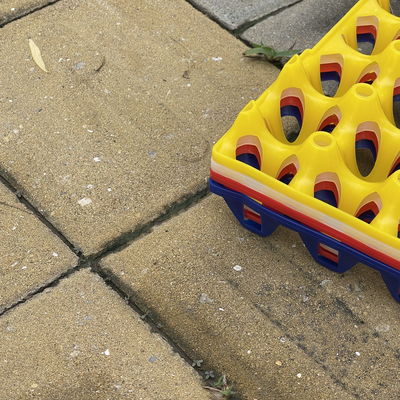 Plastics Egg Container Perfect Solution For Egg Storage And Transportation
