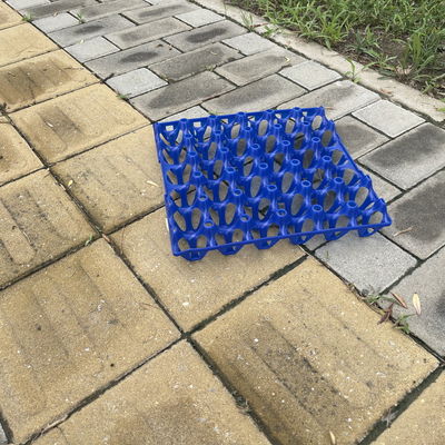 30 Hole Eco Friendly Plastic Egg Cartons Bulk