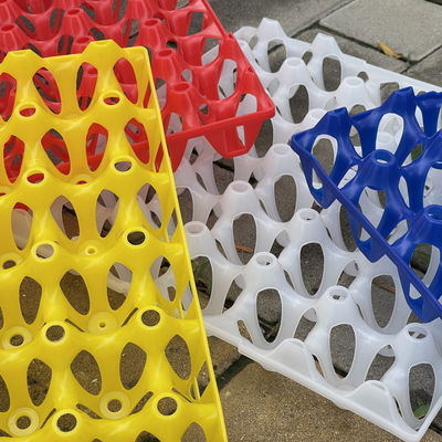 Plastics Egg Container Perfect Solution For Egg Storage And Transportation