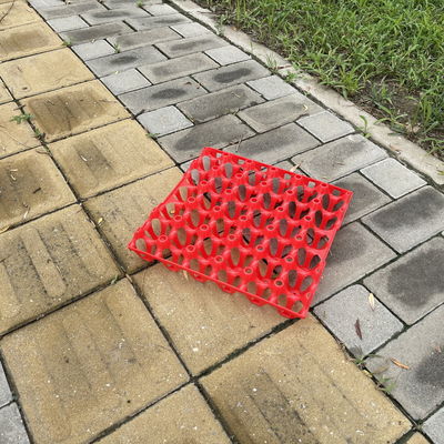 Plastics Egg Container Perfect Solution For Egg Storage And Transportation