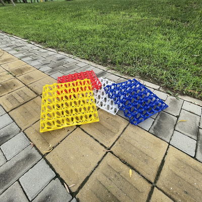 Plastics Egg Container Perfect Solution For Egg Storage And Transportation