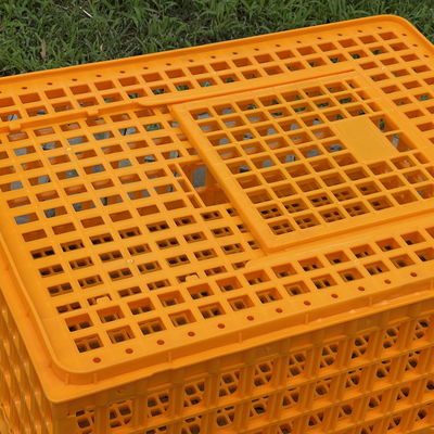 Sturdy Secure Chicken Farming Poultry Carrier Diy Chicken Transport Crates