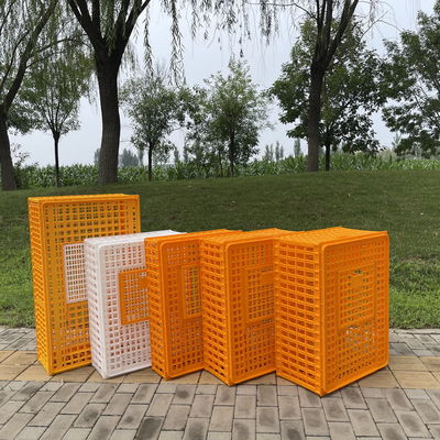 Sturdy Secure Chicken Farming Poultry Carrier Diy Chicken Transport Crates