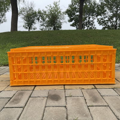 Lightweight Farm Hygiene Convenience Diy Chicken Transport Crates