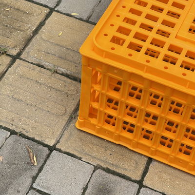 Lightweight Farm Hygiene Convenience Diy Chicken Transport Crates