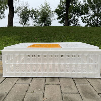 Lightweight Farm Hygiene Convenience Diy Chicken Transport Crates