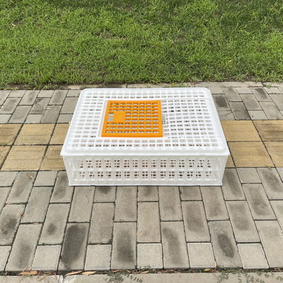 Lightweight Farm Hygiene Convenience Diy Chicken Transport Crates