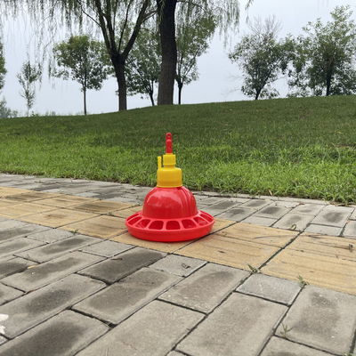 Automatic Small Medium plastic poultry drinker