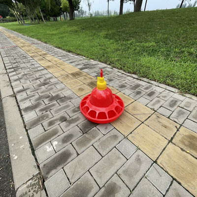 Automatic Small Medium plastic poultry drinker