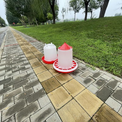 Freestanding Cylindrical Plastic Poultry Feeder With Accessories
