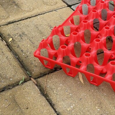 30 Slot Red Plastic Egg Cartons Eco Friendly Sustainable Transportation