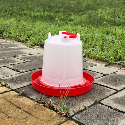 Constant Water Supply Poultry Chicken Drinker Standard Version Long Lasting Durability