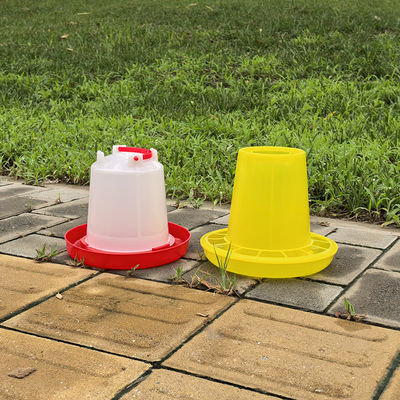 Constant Water Supply Poultry Chicken Drinker Standard Version Long Lasting Durability